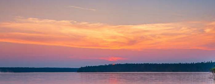 Алла Ляпустина