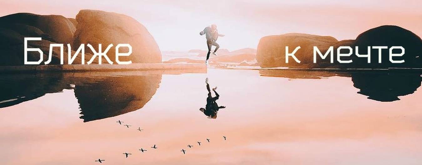 Дикий Кот
