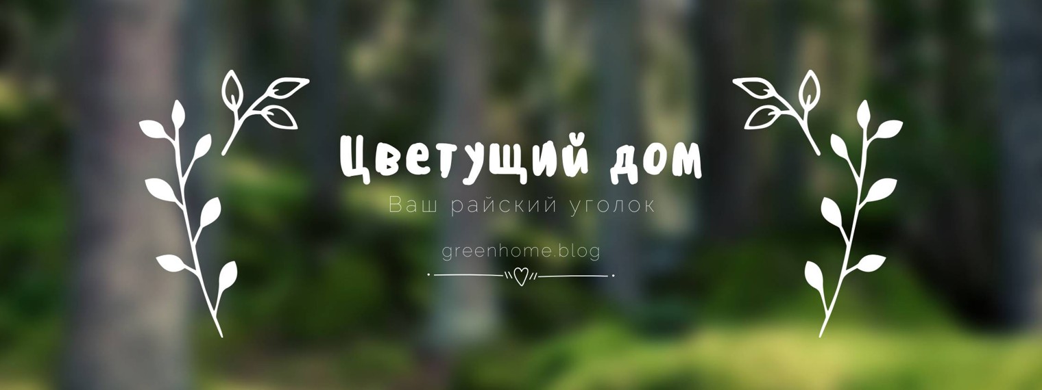 Цветущий Дом