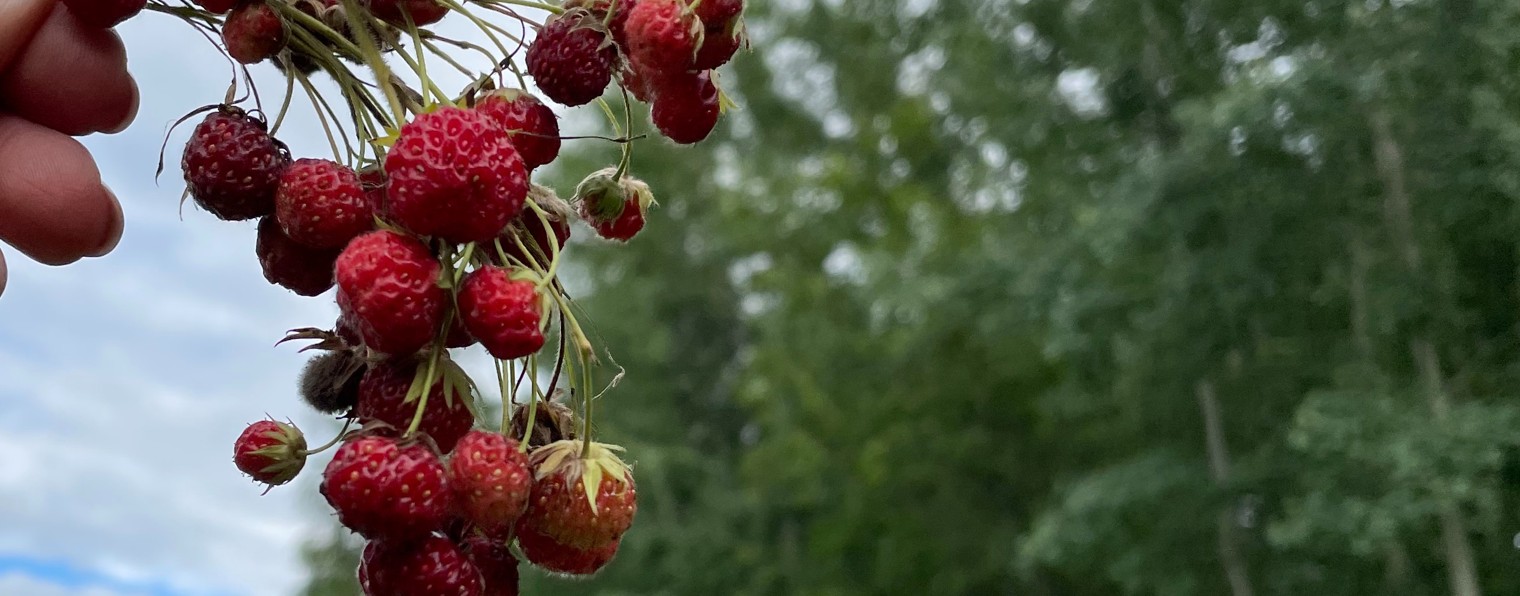 Мы в городе