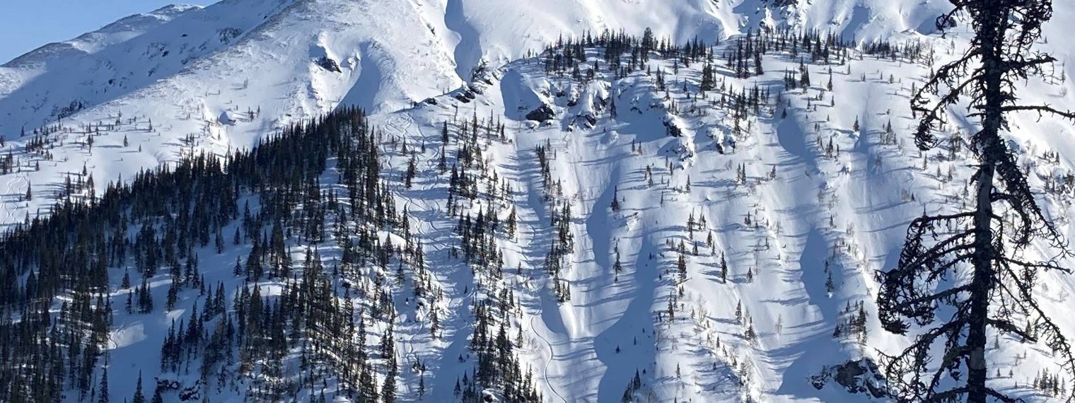 Фрирайд на Мамае