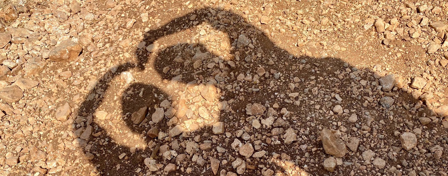 путешественник 146