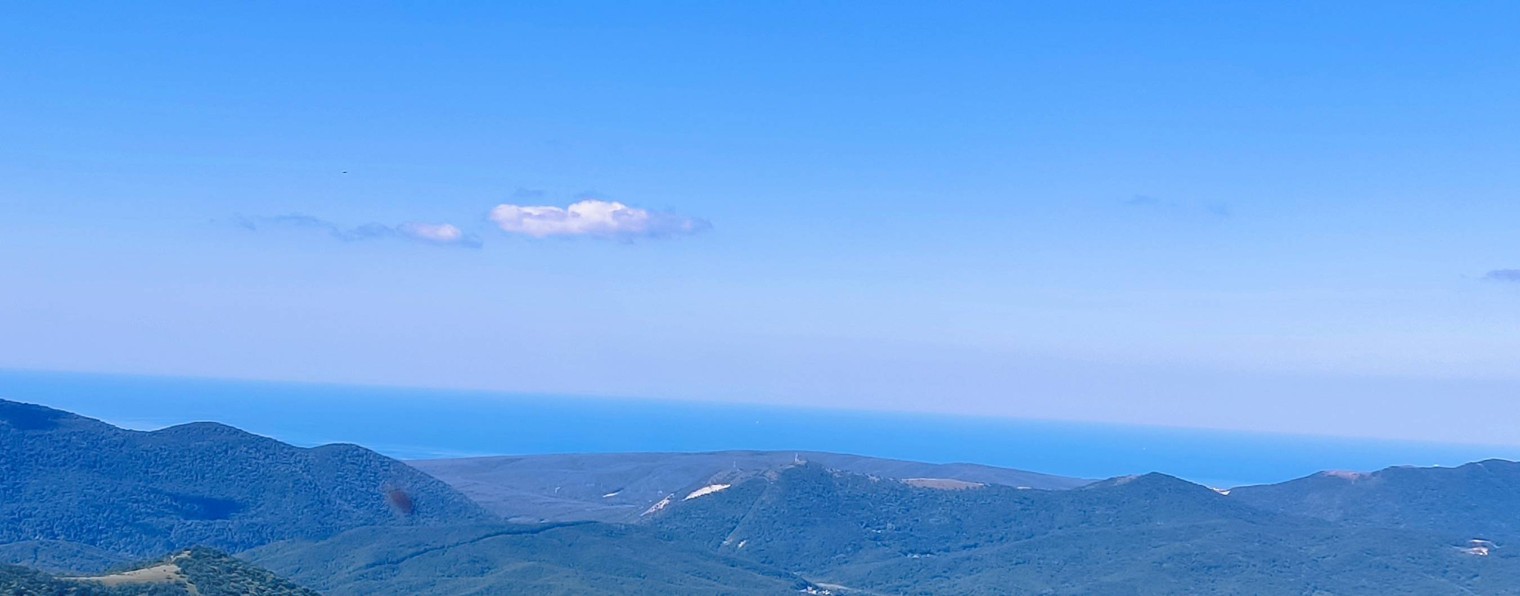 Риддик (Шеф) фон Тир