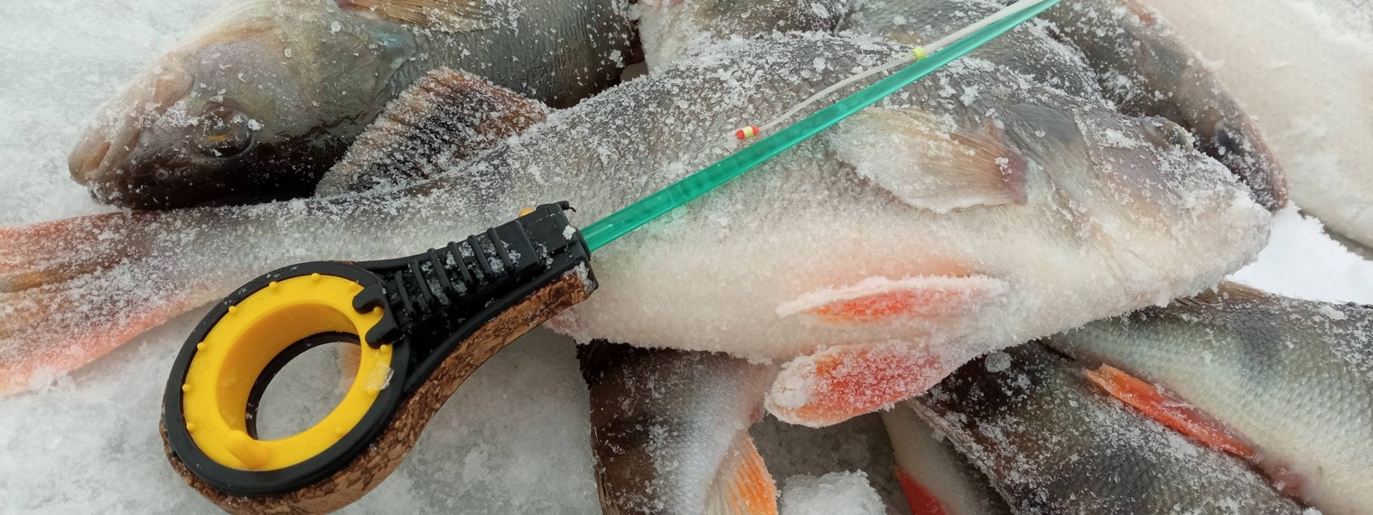 Рыбалка ТМБ