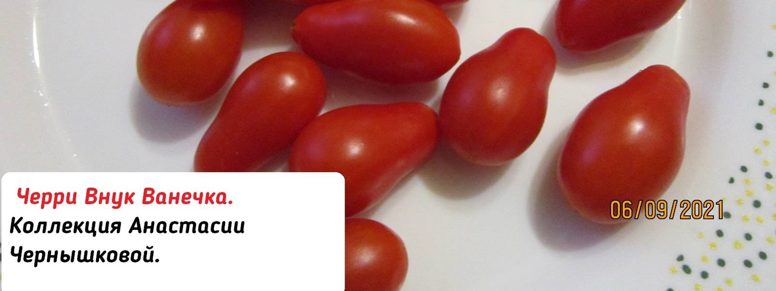 Огородик настеньки