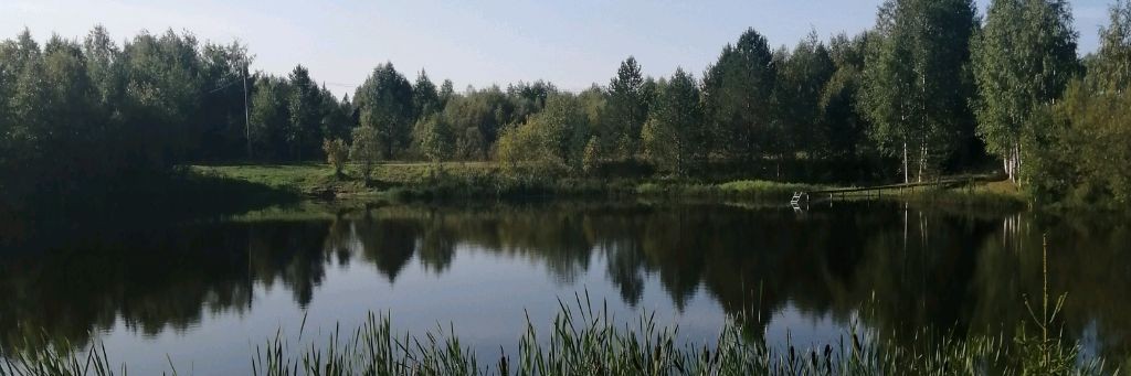 Активный Поиск Металла