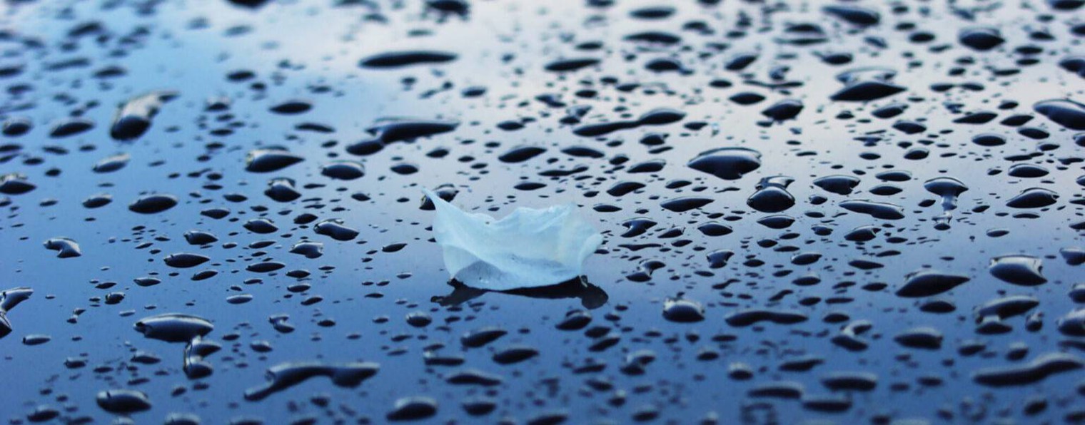 Юри Кивит  поэт, эстонский патриот здравого смысла