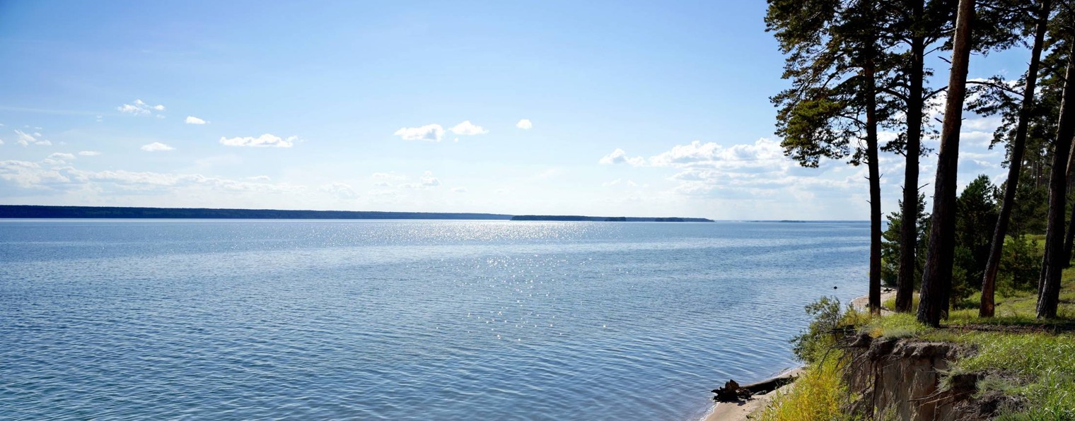 Александр Грибакин