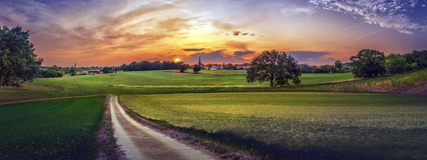 СНТ СН Синеглазка