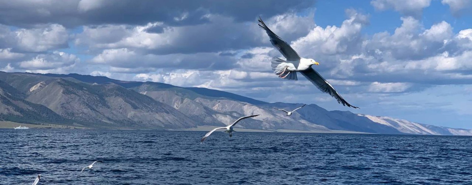 Меркульевы: живое пространство развития