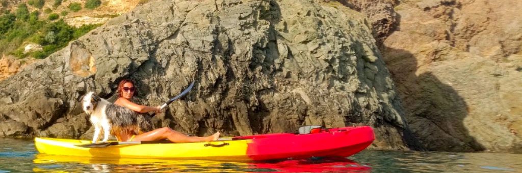 Мейн кун / Крым / Maine Coon / Crimea