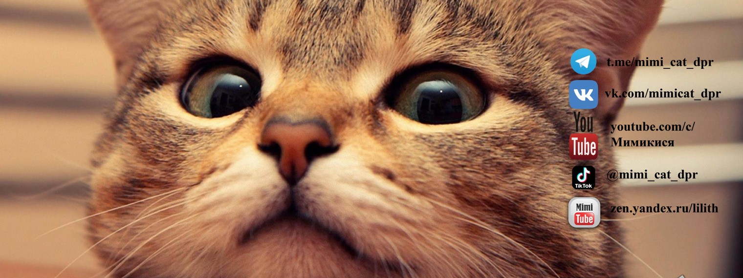 Блог #Мими_кися
