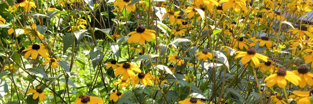 Секреты здоровой женщины