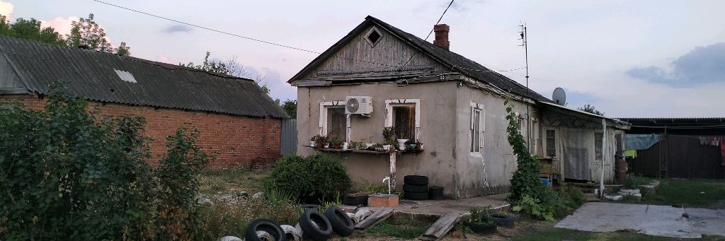 Станичный оптимист