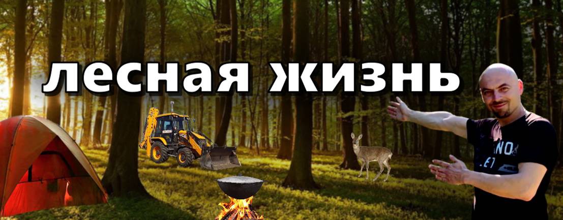 лесная жизнь🌳