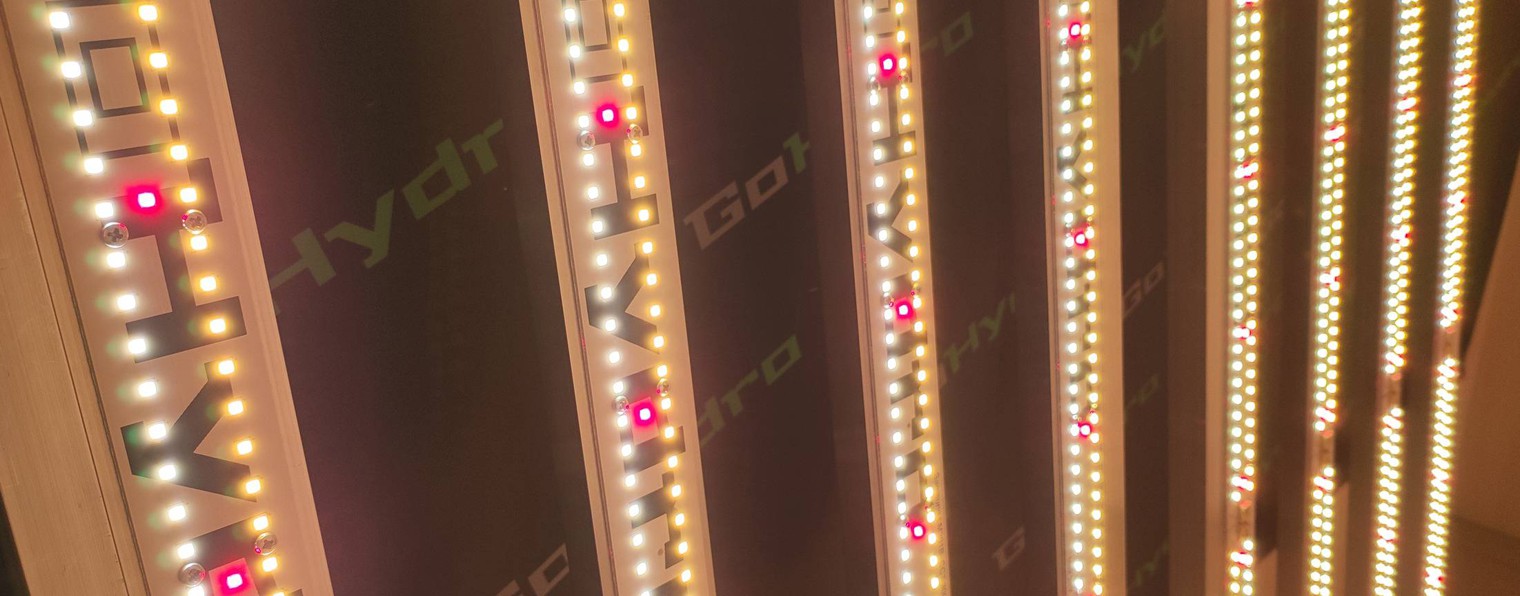 GoHydro
