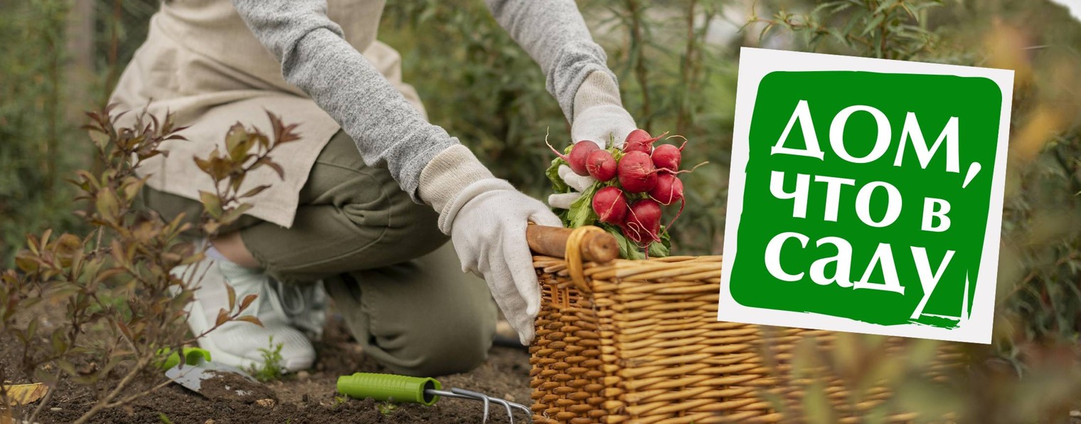 «ДОМ, ЧТО В САДУ»: советы и идеи для Вашего сада!