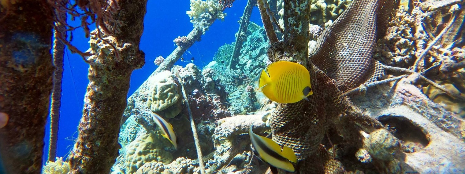 Три стихии в объективе