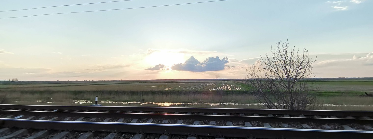 Весело шагая