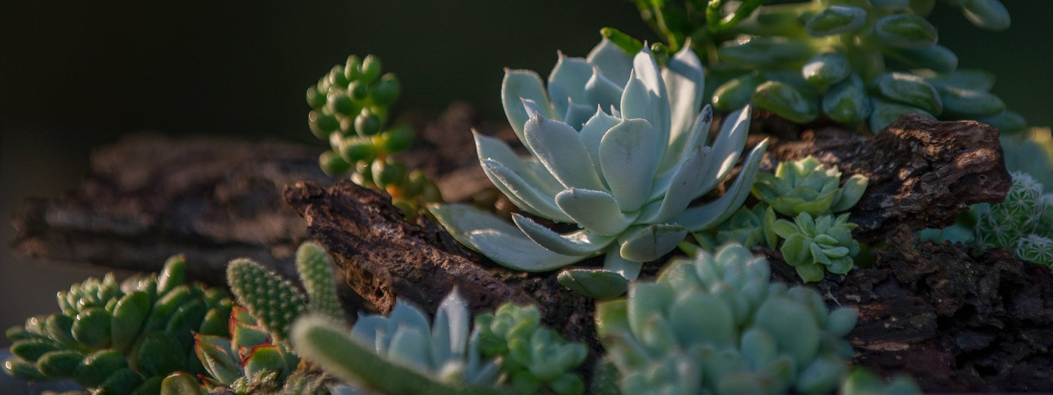 Загородный Гид