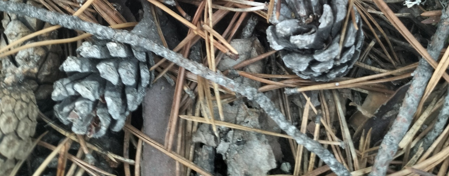 Как-то,Вот так!