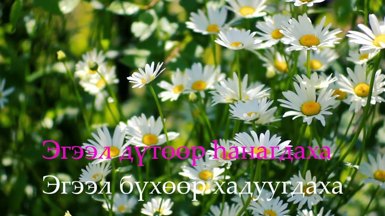 Степные напевы - Турэhэн удэр (КАРАОКЕ) смотреть онлайн