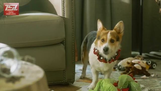 Xiaomi Mi Home Security Camera Se Global 360 1080p Cctv Ip Camera