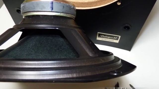 Pioneer Prologue 30 Vintage смотреть онлайн