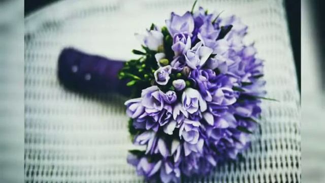 Картинки природы смотреть онлайн