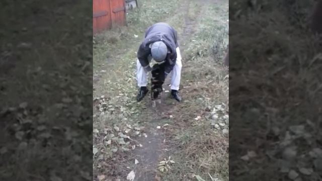 Дворовый талант. смотреть онлайн