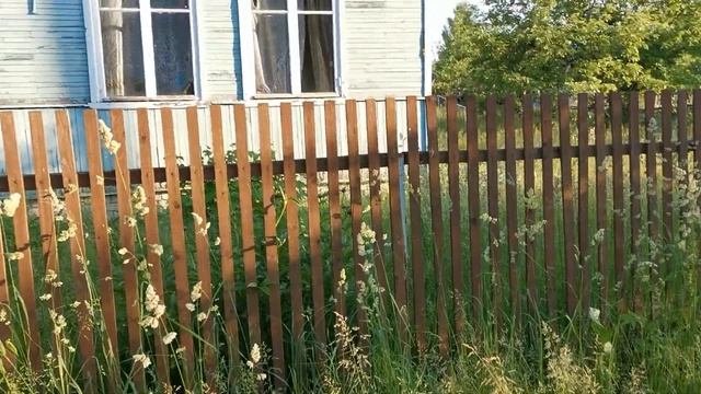 Прогулка по СНТ. смотреть онлайн