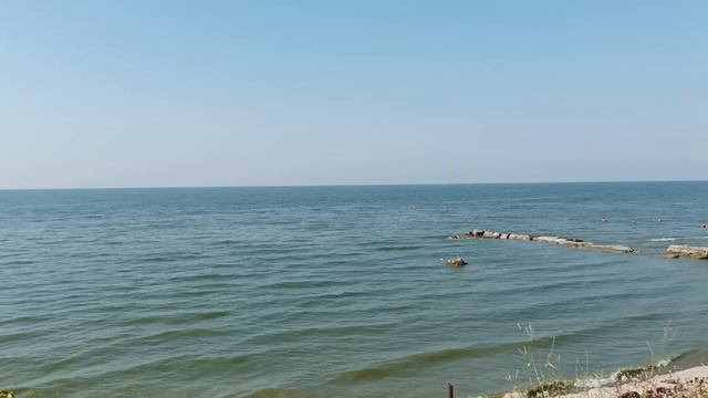 Таганрог. "ЦЕНТРАЛЬНЫЙ" ПЛЯЖ ВЫРУЧИЛ... (Деликатная тема) смотреть онлайн