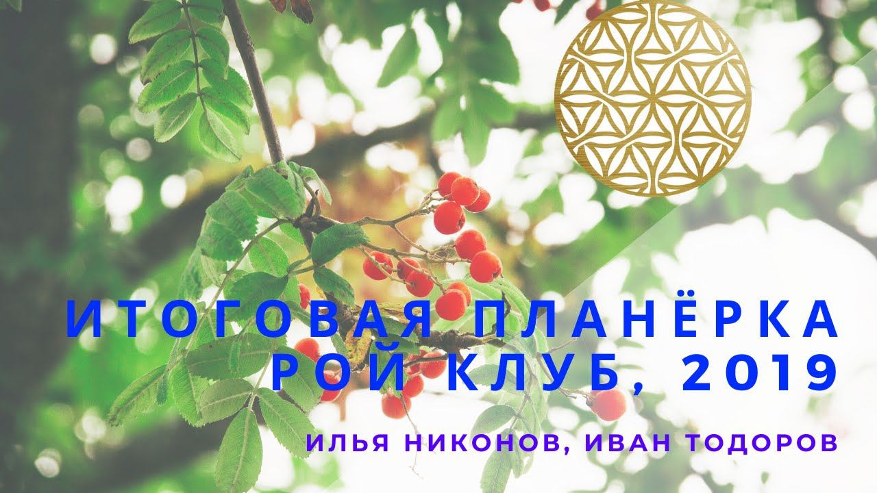 О пчелином рое и итоговая планёрка РОЙ Клуба по Дню Рождения смотреть онлайн