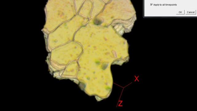 3D microstructure from 2D images, Pure iron смотреть онлайн