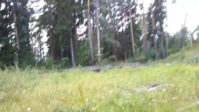 Лисицкий Бор смотреть онлайн