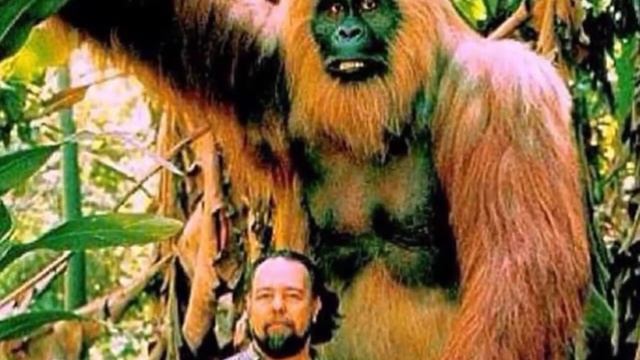 САМЫЕ КРУПНЫЕ ЖИВОТНЫЕ КОТОРЫЕ ЖИЛИ НА НАШЕЙ ПЛАНЕТЕ смотреть онлайн