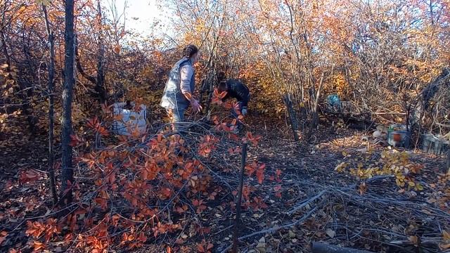 #22 МЫ купили ЗАБРОШЕННУЮ ДАЧУ / Помощь друзей/ Идеальные моменты смотреть онлайн