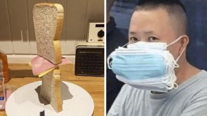 Сумасшедший мир и его обитатели