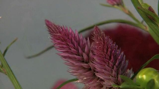 Квитка душа - Нина Матвиенко смотреть онлайн