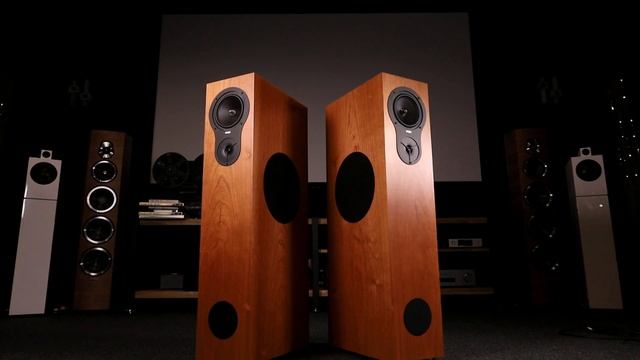 Акустика Morel & Rega [дипольная]