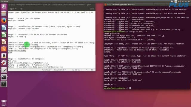 Installation de Wordpress dans Ubuntu Desktop 16.04.1 LTS by Tech & PLUS смотреть онлайн