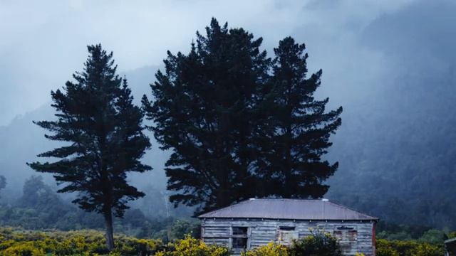 10hrs Of RAIN In New Zealand Countryside, Gentle Rain Sounds To Sleep, Relax, Study | Binaural Rain