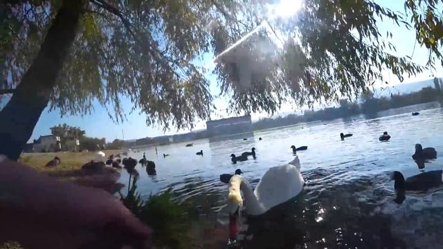 Горячий ключ. Обзор города смотреть онлайн