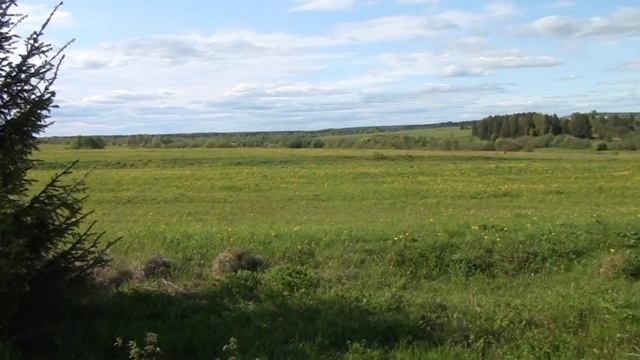 Моя милая, малая родина! Видеоклип от Ивана Есипова. Автор слов А. Жигалова исполняет В. Меркучев! смотреть онлайн