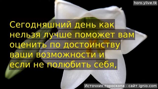 Лев. ❤ 24 янв. 2019: Любовный гороскоп на сегодня.