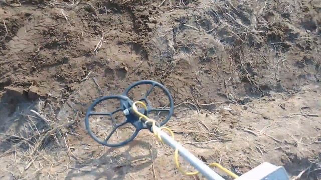 Tejon! vs EQUINOX. Тест глубины, совместный коп смотреть онлайн