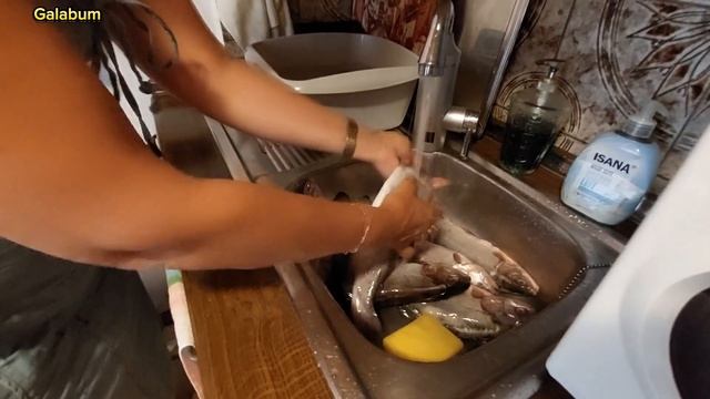 Как засолить и засушить Форель целиком. @galabum смотреть онлайн