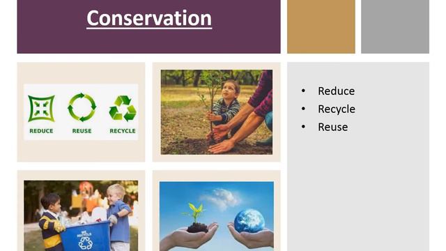 Green Skills | Employability Skills | Information Technology 402 Unit-5 смотреть онлайн