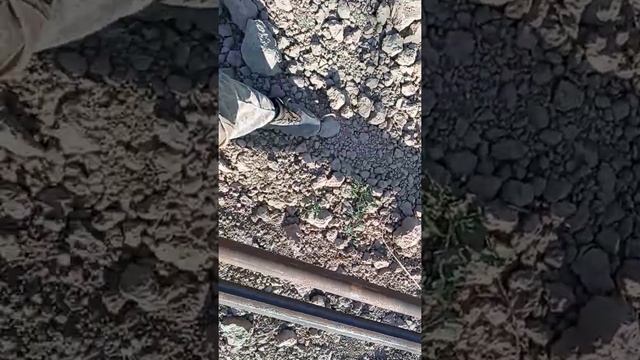 Теплица смотреть онлайн