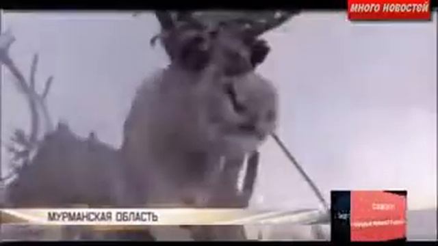 НОВЕЙШИЙ Су 35С  МИНОБОРОНЫ РОССИИ !!!